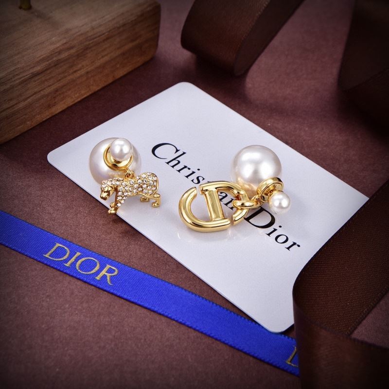 Christian Dior Earrings